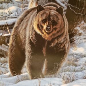 Vtg 1988 The Grizzly Bear Plate Canada Snow/Trees